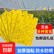 黃板雙面粘蟲(chóng)板誘蟲(chóng)板貼紙滅小飛蟲(chóng)沾果蠅誘捕器果園蚊子蒼蠅大棚 25cm*20cm大號雙面加厚-贈扎帶 100