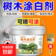 樹木涂白劑果樹防蟲大樹干涂白劑大樹防寒環(huán)?？共≡蕉曳蹌?涂白劑【5斤桶裝】送刷子
