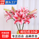 AB級優(yōu)質(zhì)香水百合鮮花水培插花家庭生活水養鮮切花苞云南產(chǎn)地直發(fā) 高品質(zhì)【AB級帕拉佐】香水百合10朵+百合粉+新鮮