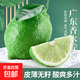 廣東無(wú)籽香水檸檬新鮮檸檬小青檸檬水茶鮮檸奶茶店水果源頭直發(fā) （單果65g+）凈重800g