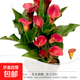 彩色馬蹄蓮進(jìn)口球根種球多年生室內室外盆栽彩色四季開(kāi)花不斷植物 彩色馬蹄蓮/快樂(lè )藝術(shù)-酒紅色 1球