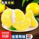 福建平和黃金爆汁葡萄柚新鮮樹(shù)熟應季水果清甜多汁 8.5斤