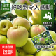山東青蘋(píng)果金帥綠蘋(píng)果青水果新鮮應當季丑蘋(píng)果整箱紅冰糖心富士 凈重1斤（65-70mm）