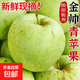 山東蘋(píng)果金帥青蘋(píng)果酸甜脆甜多汁新鮮應季水果孕婦兒童整箱果園 帶箱1斤（60-65mm）