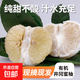 江西井岡有機水果蜜柚子純甜青柚金蘭柚無(wú)酸金沙白柚新鮮現摘現發(fā) 精品小果9斤盒裝（約9枚）