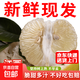 江西高山有機井岡蜜柚子水果禮盒金蘭柚純甜無(wú)酸金沙柚新鮮現摘 商超果王5-6斤禮盒裝（約4枚）