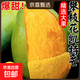 新鮮玉芒大青皮芒果應季生鮮新鮮水果 帶箱9斤大果300g+