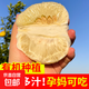 正宗江西井岡有機蜜柚子新鮮水果純甜爆汁金蘭柚無(wú)酸金沙柚現摘 優(yōu)級大果8-9斤盒裝（約6枚）