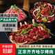 齊齊哈爾烤肉套餐東北家庭烤肉新鮮烤肉燒烤食材半成品250g/6袋 齊齊哈爾烤肉+送蘸料【900g】