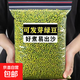 綠豆 小顆粒 五谷雜糧易出沙綠豆粥綠豆糕綠豆湯發(fā)豆芽 農家笨綠豆2斤