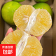 翡翠青皮黃金葡萄柚福建爆汁西柚子當季新鮮孕婦水果生鮮幼稚園 1粒裝【單果250克以上】