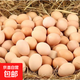 正宗農家鮮雞蛋大蛋早餐食材鮮雞蛋 40枚