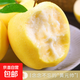 黃元帥蘋(píng)果新鮮水果當季奶油紅富士粉面刮泥黃金帥煙臺香蕉平安果 9斤裝 85mm-90mm