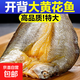 海岸浦  黃魚(yú)鲞  開(kāi)背鮮美醇香 多規格 鮮美深海開(kāi)背黃魚(yú)鲞250g*5條