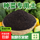 春強農業(yè)種菜營(yíng)養土種植土壤10斤蔬菜瓜果家用植物優(yōu)質(zhì)園藝室內盆 農家肥種菜土/肥力持久/不燒苗 種菜土50斤【無(wú)異味不燒苗】