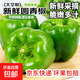 新鮮圓椒青椒現摘山東太空甜椒燈籠椒綠菜椒生吃蔬菜沙拉減脂生鮮 圓青椒2斤【帶箱】