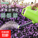 澆花水壺大容量灑水壺長(cháng)嘴家用園藝澆菜噴壺加厚大號塑料淋花灑壺 5升-青草綠