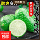 海南無(wú)籽香水青檸檬新鮮香濃多汁果子彈頭生鮮水果奶茶飲品店專(zhuān)用 品質(zhì)好果單果60g起 250g裝