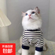 貓咪條紋薄款防掉毛ins寵物狗狗衣服小奶英短布偶兩腳衛衣貓衣服 黑白條紋 XXL【建議11-15斤】