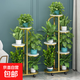 花架子客廳落地式置物架陽(yáng)臺布置簡(jiǎn)約現代花盆架鐵藝花架 時(shí)尚金-四層五盆【高81.5cm】