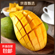 新鮮玉芒大青皮芒果應季生鮮新鮮水果 帶箱8斤中果300g+
