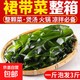 5斤鹽漬裙帶菜嫩葉涼拌菜火鍋 食材3斤1斤 半斤裙帶菜
