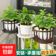 欄桿花架鐵藝加粗陽(yáng)臺護欄花架子壁掛懸掛吊籃綠蘿架多肉花盆掛架 加粗款【白色】