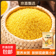 黃小米 油小米雜糧山西特產(chǎn)當季新米五谷雜糧粗糧熬粥月子米 黃小米1斤 實(shí)惠裝