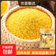 黃小米 油小米雜糧山西特產(chǎn)當季新米五谷雜糧粗糧熬粥月子米 黃小米5斤 大包