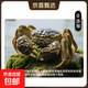 洪澤湖鮮活大閘蟹全母蟹1.5-1.2兩產(chǎn)地直發(fā)大閘蟹河蟹螃蟹 2-2.3全母兩8只裝