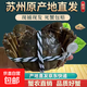 蘇州鮮活大閘蟹現貨鮮活禮盒螃蟹河蟹清水養殖產(chǎn)地直發(fā)特大公蟹 公蟹7兩4只裝
