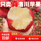 正宗陜西洛川蘋(píng)果紅富士新鮮當季冰糖心脆甜整箱寶媽孕婦生鮮水果 帶箱約5斤（凈果4.6斤）單果70mm+