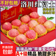 正宗陜西洛川蘋(píng)果新鮮紅富士孕婦冰糖心脆甜8斤整箱一級脆甜現摘 帶箱8斤裝（單果75-80mm）