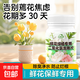 二氧化氯鮮花綠植保鮮片保鮮劑泡騰片插花凈水除臭殺菌專(zhuān)用消毒片 300 片