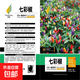 七彩椒種子四季種五彩椒種子朝天椒辣椒種子高產(chǎn)辣椒籽種蔬菜種子 七彩椒種子 1包約200粒