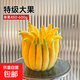 佛手柑水培植物鮮果桌面聞香觀(guān)賞擺件室內水養綠植新鮮超級可食用 【特級大果】濃香佛手柑1顆（單果450-600g）