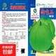 綠寶石甜瓜種子薄皮超甜香瓜種子春季綠皮四季脆瓜早熟高產(chǎn)香瓜籽 綠寶石甜瓜種子/包約100粒 1包