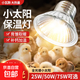 蘆丁雞保溫燈自動(dòng)控溫保溫燈套裝育雛鸚鵡小雞取暖溫控器小太陽(yáng)燈 小太陽(yáng)燈75w【3個(gè)】