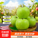 山東蘋(píng)果金帥青蘋(píng)果酸甜脆甜多汁新鮮應季水果孕婦兒童整箱果園 帶箱5斤（60-65mm）