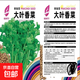 四季播種大葉香菜種子農家老品種芫荽種籽四季陽(yáng)臺盆栽地栽香菜種子 大葉香菜種子1包約1000粒