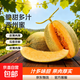 正宗哈密瓜西州蜜大果甜瓜新鮮采摘蜜瓜脆甜多汁整箱 哈密瓜1.5-2斤