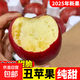 2025云南昭通蘋(píng)果新鮮水果現摘現發(fā)手工精選新鮮脆甜多汁 9斤裝特大果（90-100mm）