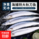 深海秋刀魚(yú)2斤新鮮冷凍日式料理燒烤食材商用批發(fā)海鮮水產(chǎn)魚(yú)類(lèi) 2斤【大號秋刀魚(yú)4-7條/斤】