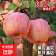 正宗山東紅富士蘋(píng)果丑蘋(píng)果新鮮水果當季脆甜冰糖心條紋蘋(píng)果 2粒裝