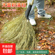 【京東物流】竹掃把戶(hù)外院子專(zhuān)用大號掃把掃馬路掃雪工地單位車(chē)間老式換位掃帚掃地神器 黑皮老枝小掃把