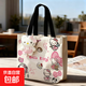 卡通帆布包包2025夏季新款大容量女式休閑手提學(xué)生上課通勤單肩包 粉色KT貓【不帶掛件】