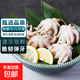 免清理八爪魚(yú)新鮮冷凍短腿章魚(yú)網(wǎng)紅爆頭鹽揉小八爪魚(yú)鮮活速凍商用 無(wú)冰八爪魚(yú) 1斤(凈重)