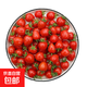 廣西新鮮圣女果紅色小番茄櫻桃小番茄孕婦水果小西紅柿酸甜水果 帶箱2斤（凈重1.8斤）