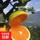 【老樹(shù)臍橙】紐荷爾臍橙當季產(chǎn)地直發(fā)橙子新鮮采摘65-70mm 帶箱2斤65-70mm