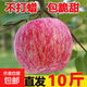 紅富士蘋(píng)果水果新鮮當季整箱10斤平果冰糖心丑萍果脆甜包郵 整箱10斤【80-85mm】